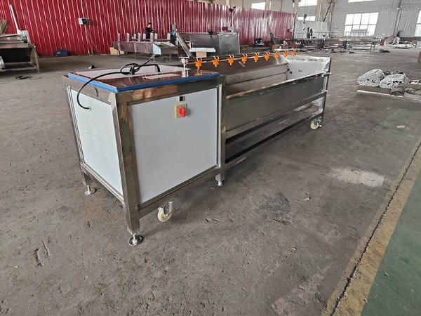 毛辊清洗去皮机img20220614153301