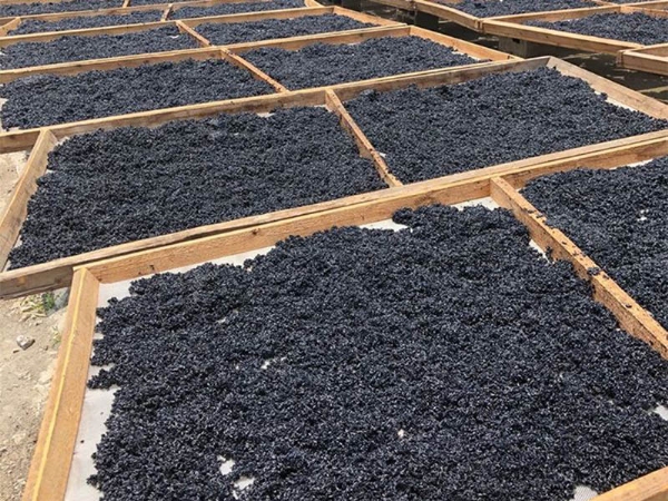 空气能烘干机投入使用2