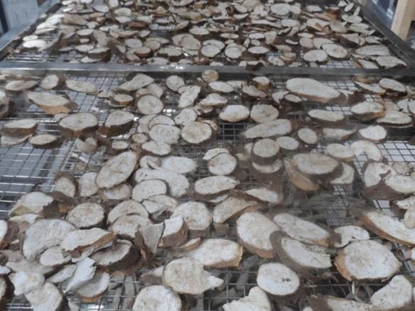 空气能烘干机投入使用1